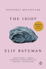 Cover of The Idiot
