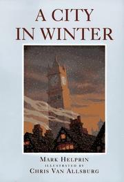 Cover of A City in Winter