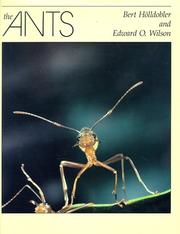 Cover of The Ants