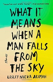 Cover of What It Means When a Man Falls from the Sky